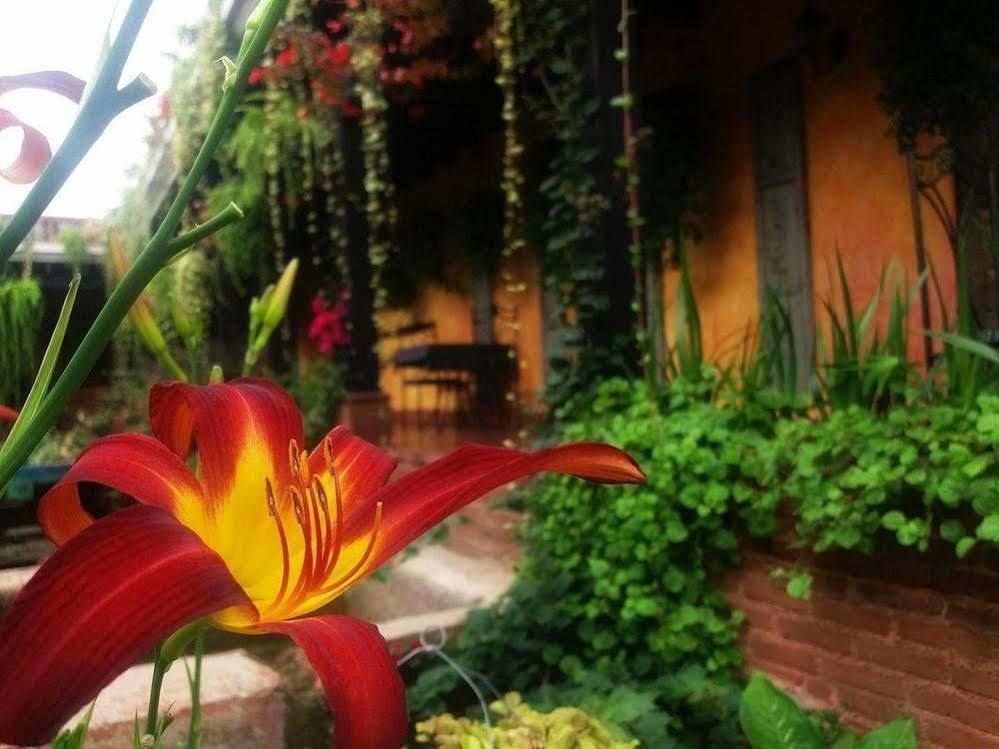Hotel Eterna Primavera Antigua Εξωτερικό φωτογραφία