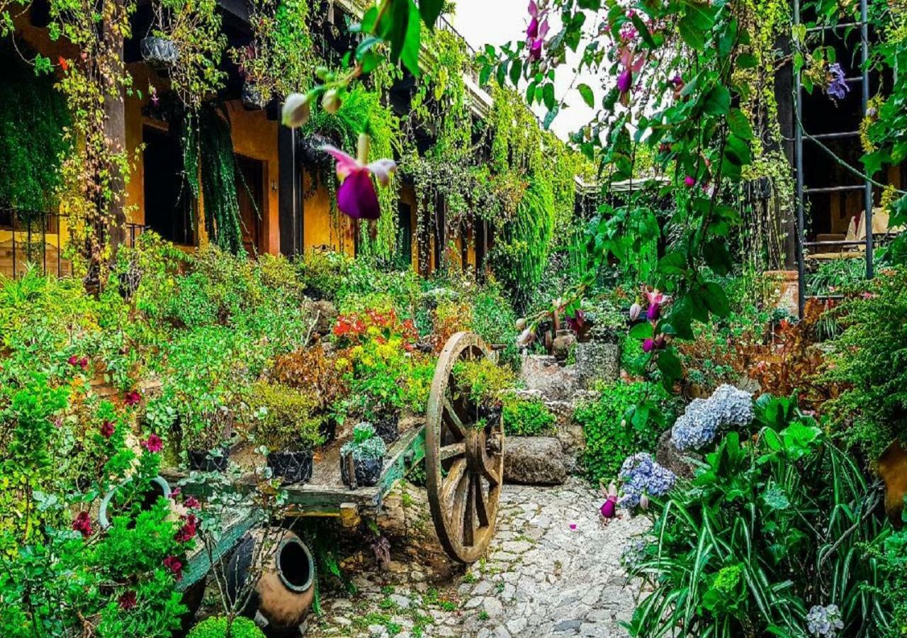 Hotel Eterna Primavera Antigua Εξωτερικό φωτογραφία